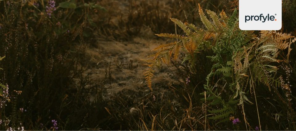 An example of flora in the UK