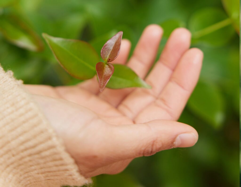 A symbol of environmental friendliness