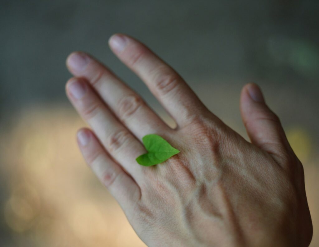 sustainable business cards