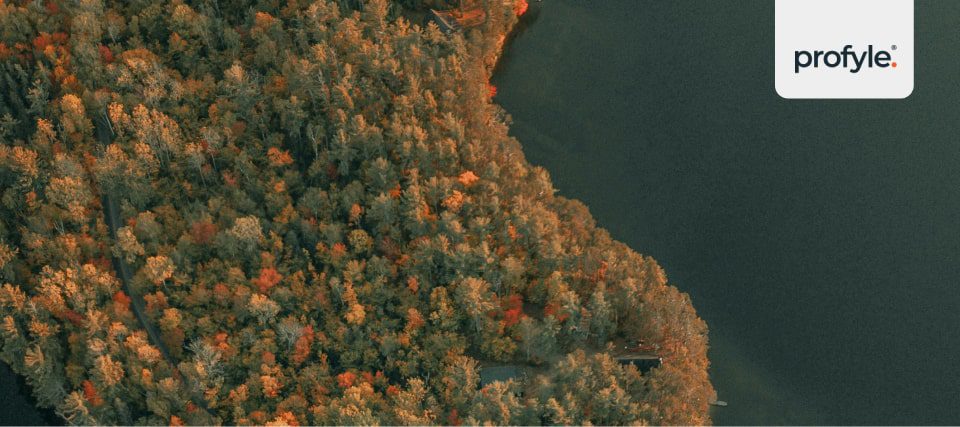A beautiful forest